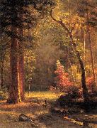 Albert Bierstadt Dogwood by Albert Bierstadt France oil painting artist